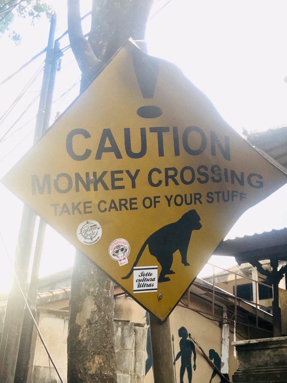 Indonesia - Ubud - Vi bodde rett ved monkey forest