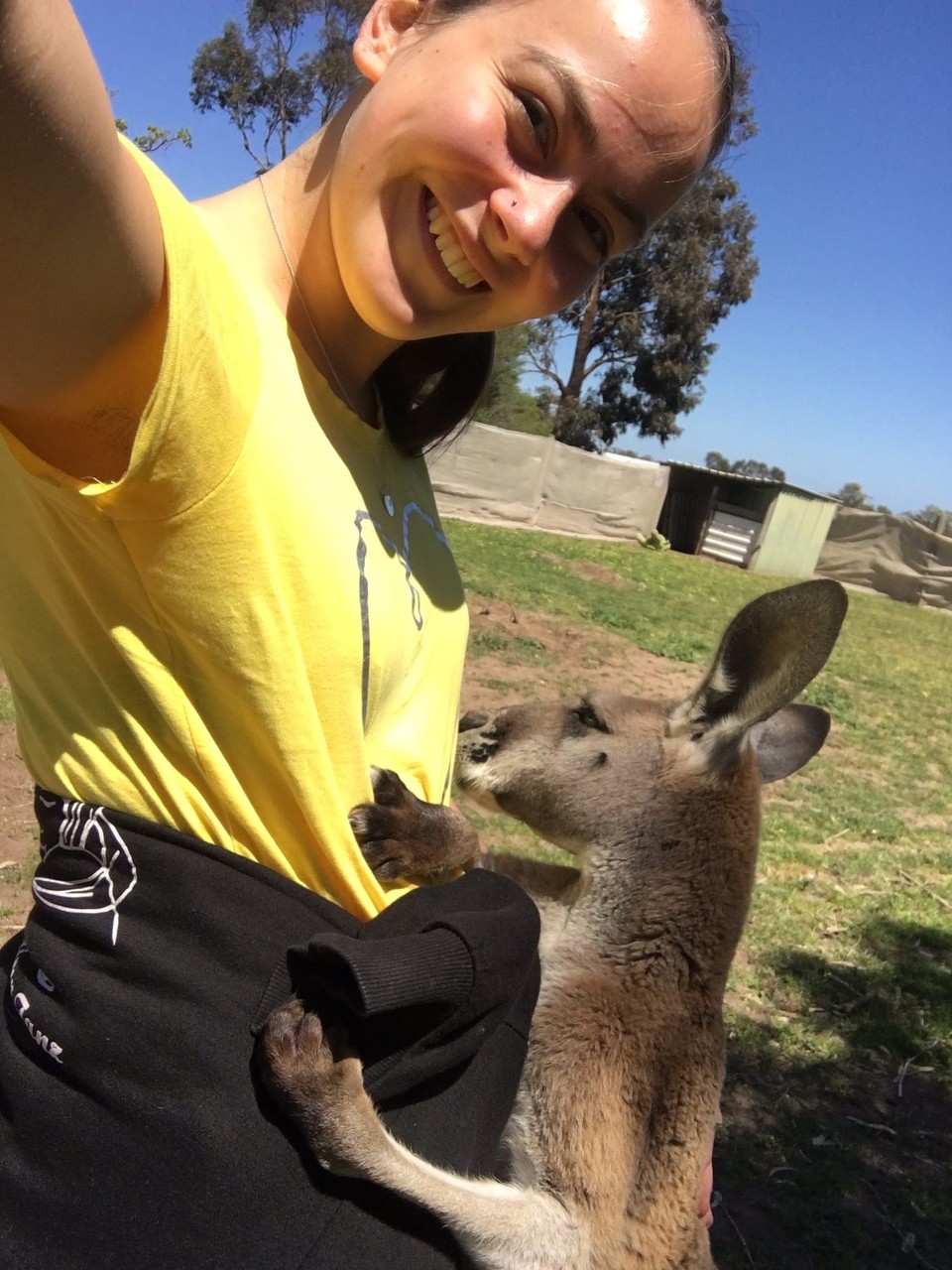 Australien - Bordertown - Mit den Kängurus kämpfen..