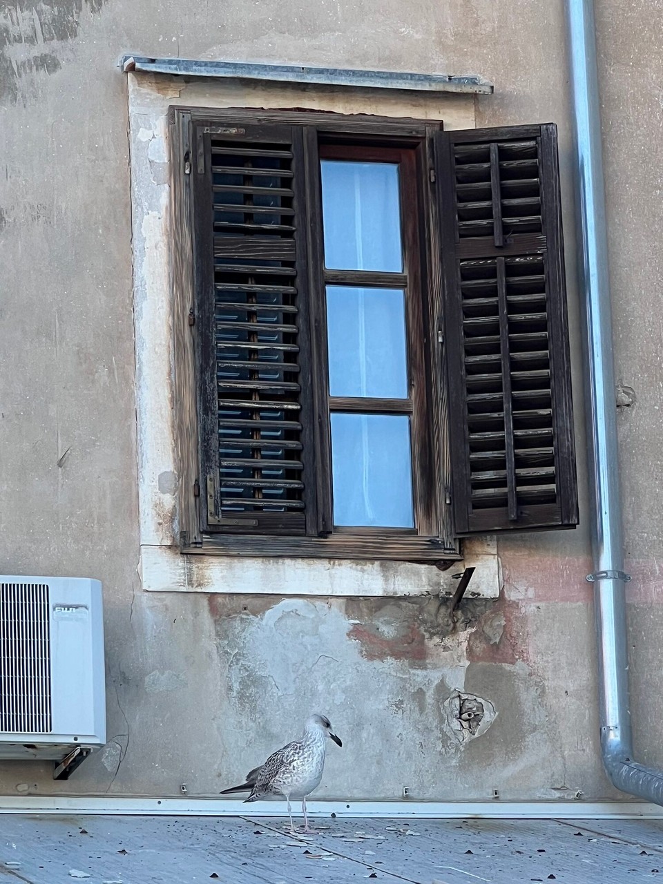 Kroatien - Rovinj - 