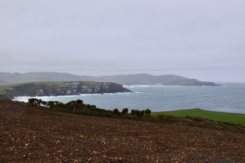 Neuseeland - Owaka - Zurück in Jacks Bay wo wir unser Auto geparkt hatten.