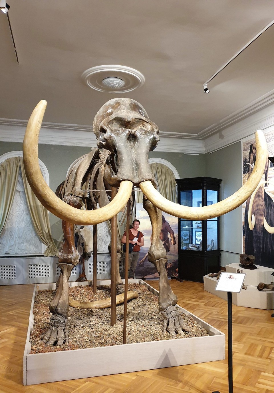 Russia - Tobolsk - Mammoth and me