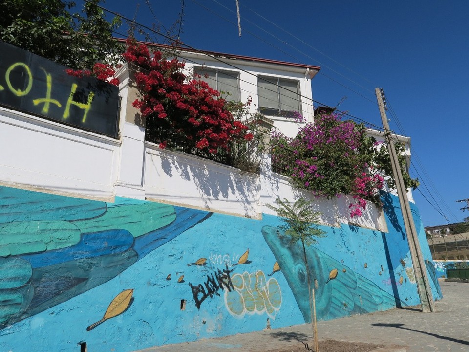 Chile - Valparaíso - la petite délinquance a augmenté ces dernieres années à Valparaiso...du coup pas moyen de prendre des photos sans tag