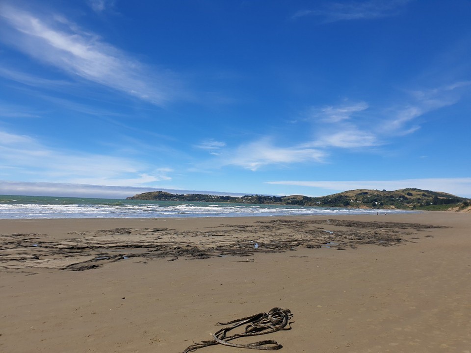 Neuseeland - Moeraki - 