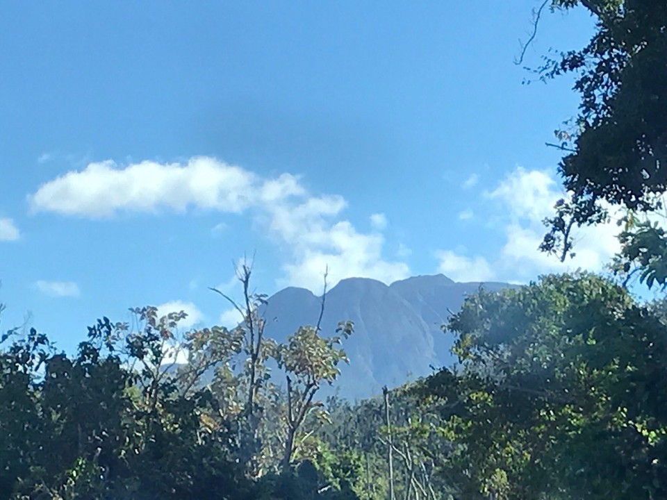 Dominica -  - 