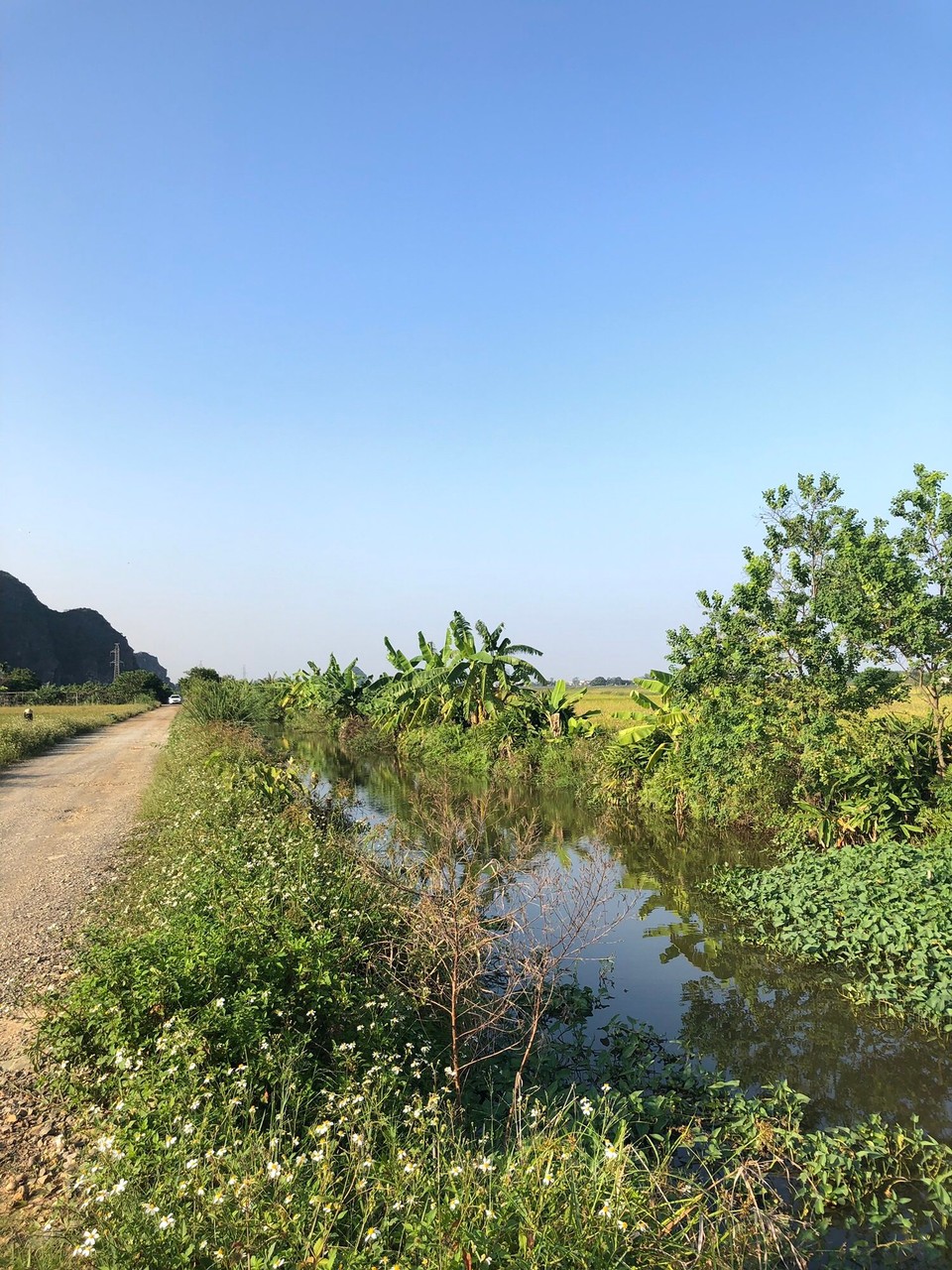 Vietnam - H. Hoa Lư - 
