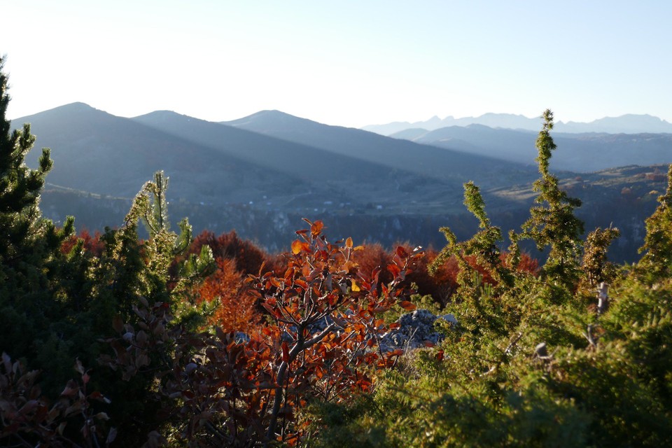 Montenegro - Ćurevac - 