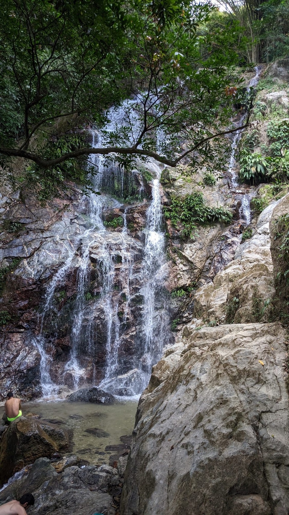 Kolumbien - Minca - 