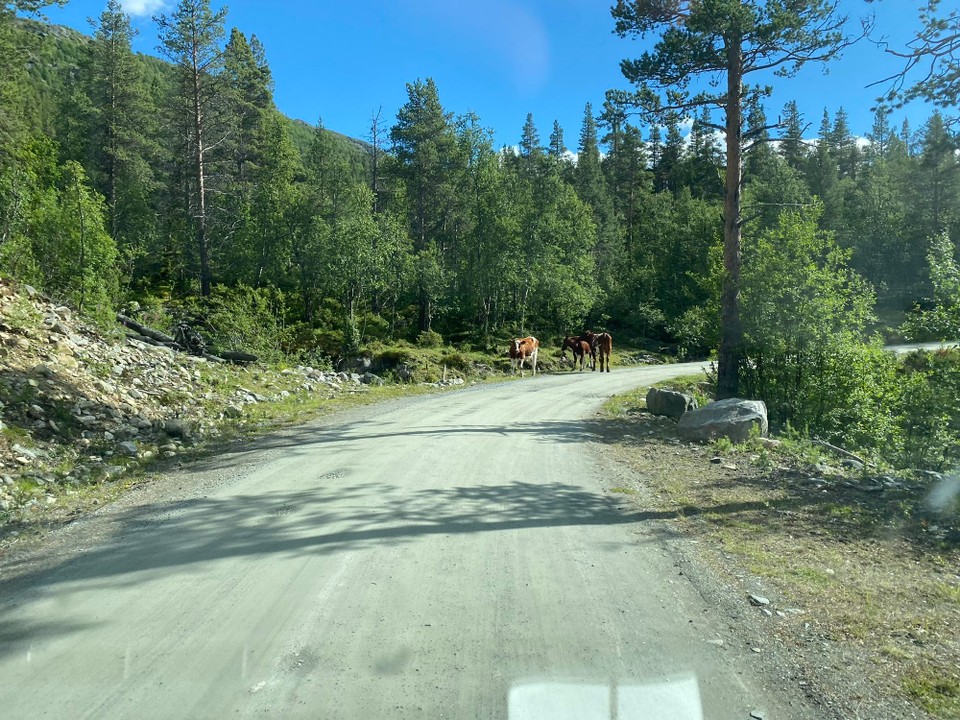 Norwegen - Bøverdalen - 