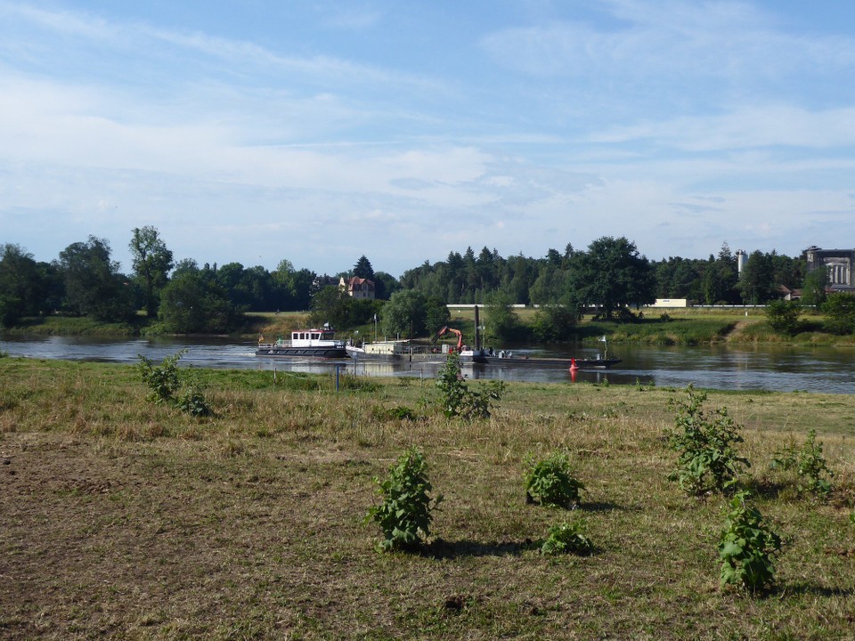Deutschland - Bad Schandau - Ein Transportschiff fahrend auf der Elbe 😲. Seit Hamburg habe ich das nicht mehr gesehen. Es scheint Wasser nachgekommen zu sein und der Fluss ist wieder schiffbar.