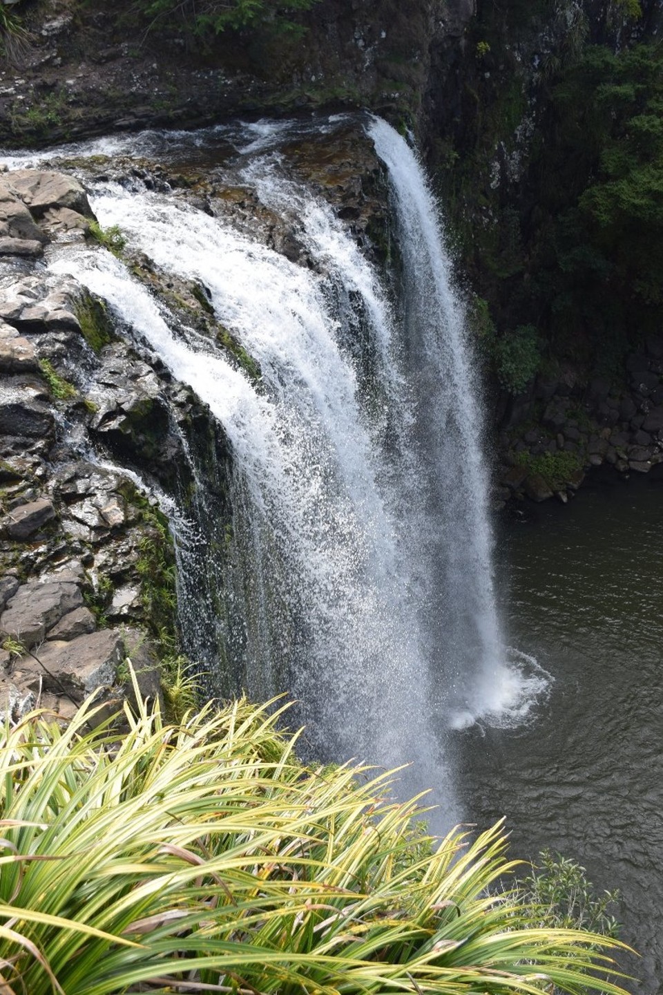 Neuseeland - Paihia - 