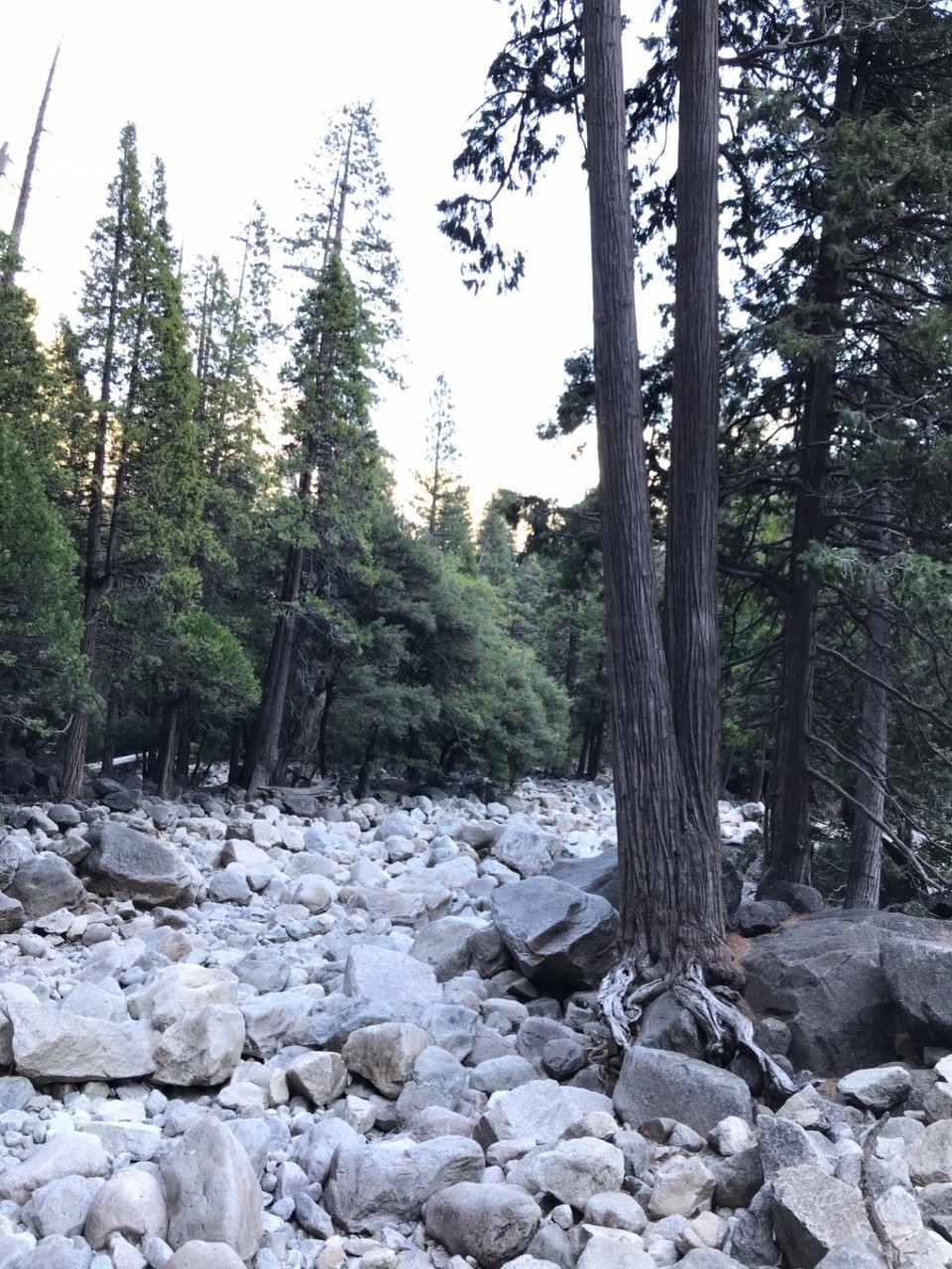 USA - Yosemite-Nationalpark - 
