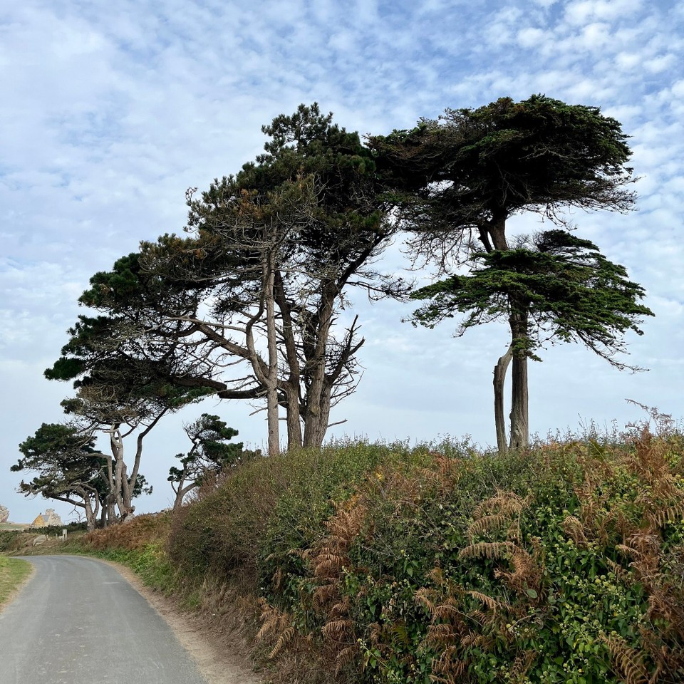 Frankreich - Locquirec - 