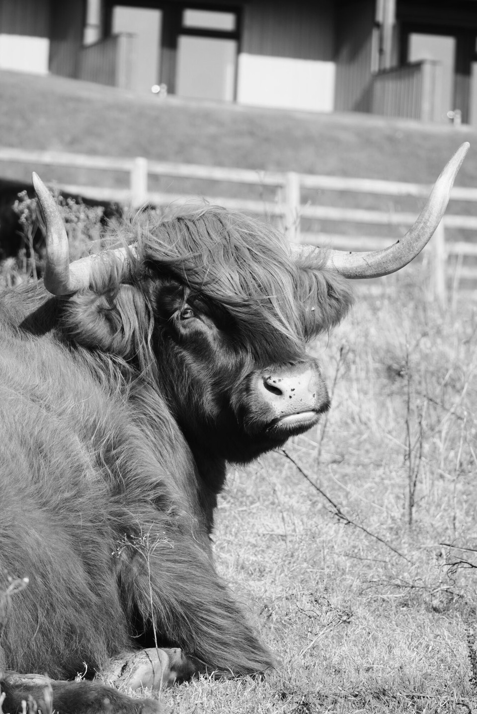 Vereinigtes Königreich - Ledaig - 