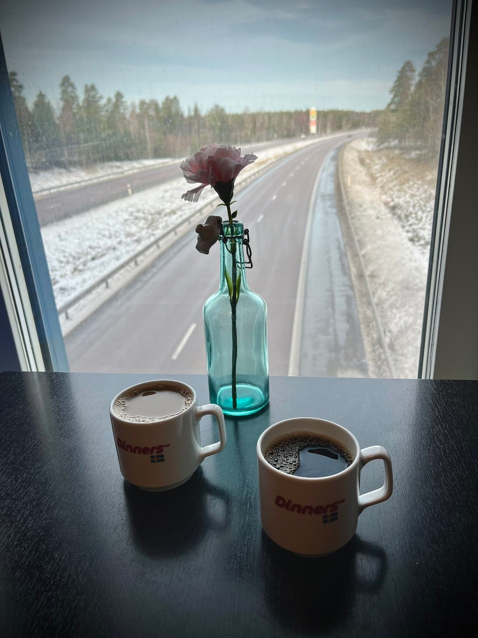 Schweden - Skellefteå - Autobahnraststätten-Idylle 