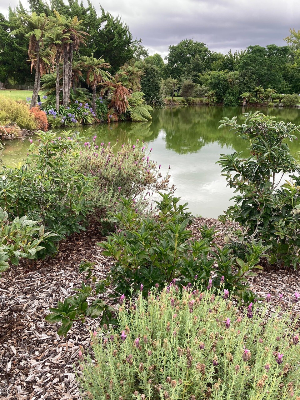 Neuseeland - Rotorua - Ausflug zum Kuirau Park