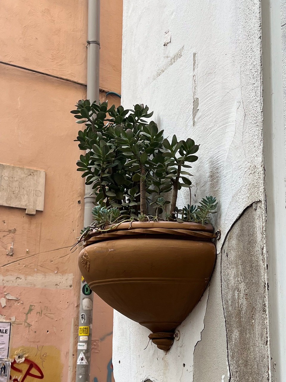 Italien - Salerno - 