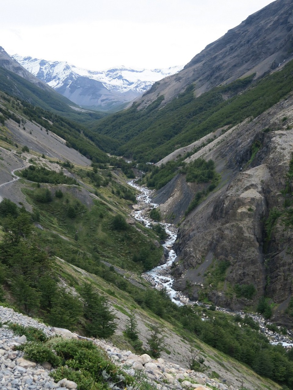 Chile - Torres del Paine National Park - Allez, plus que 4h de montee...