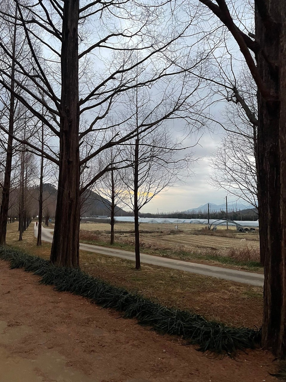 대한민국 -  - 