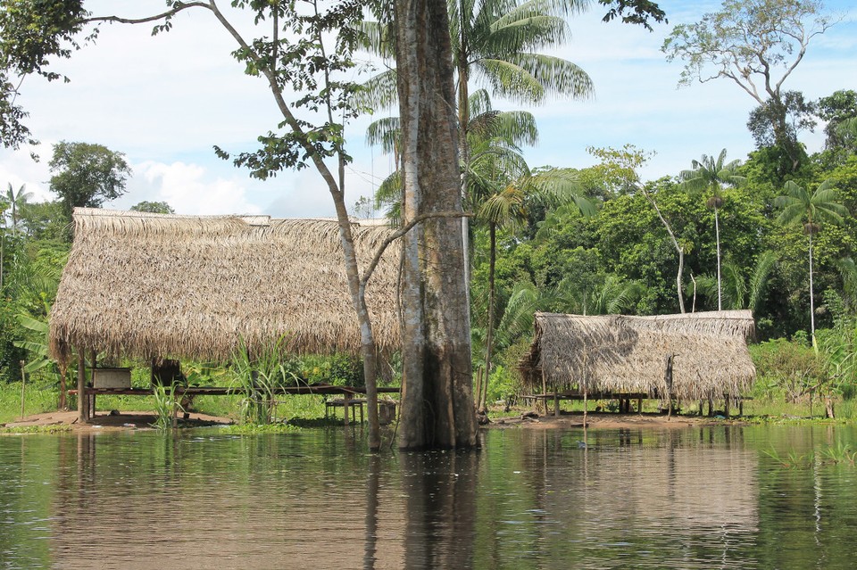 unbekannt - Rio Javari - 