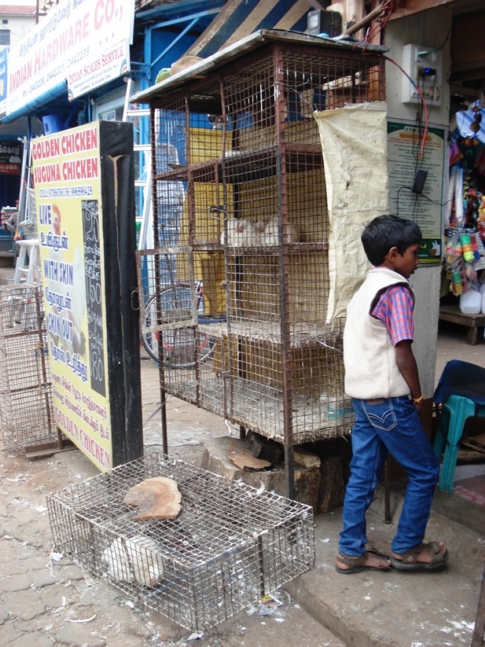 Indien - Udagamandalam I Ooty - 