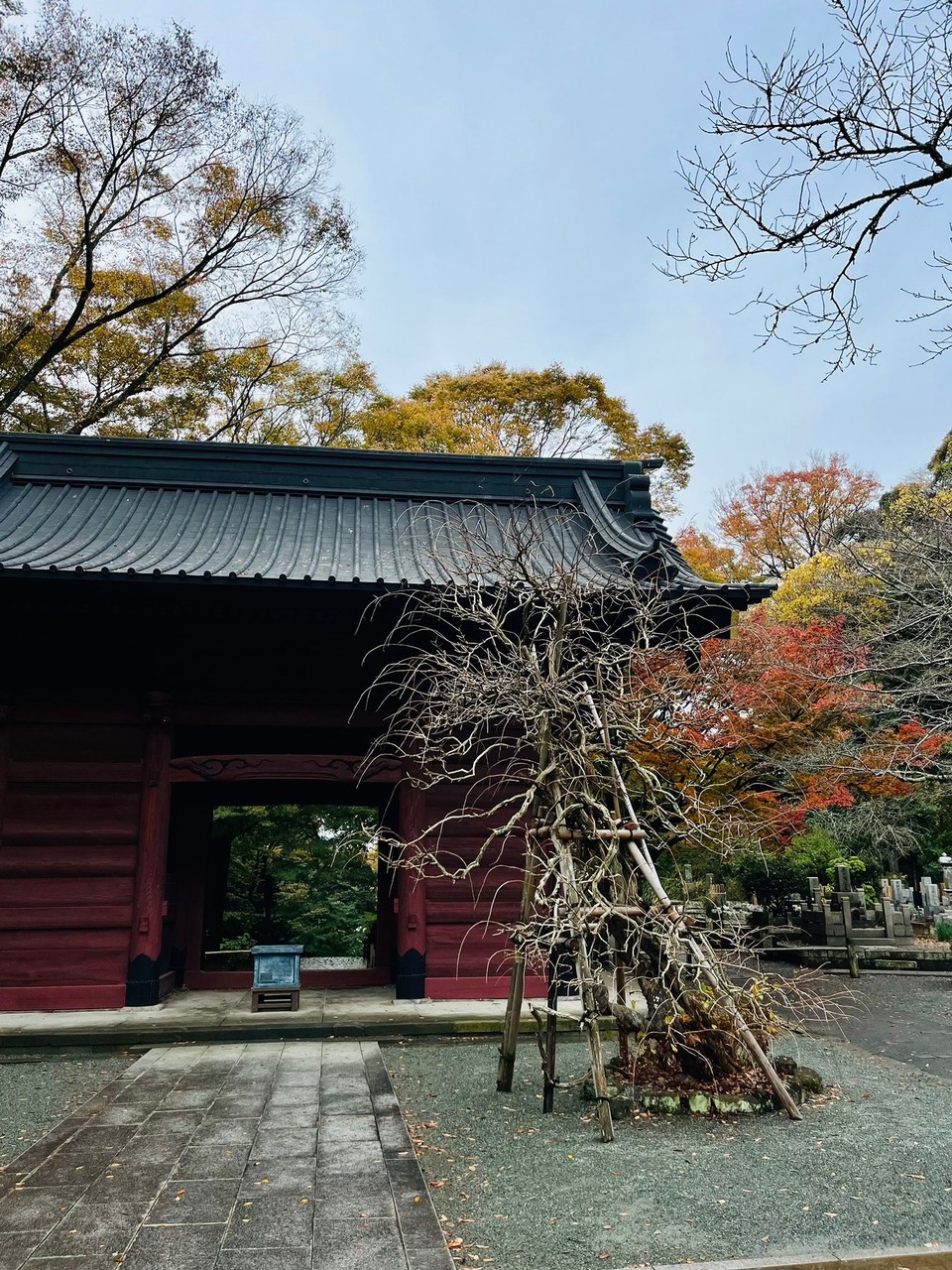 Japan - Numazu - 