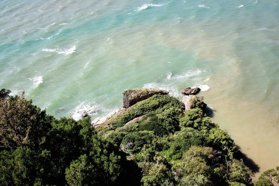 Neuseeland -  - 