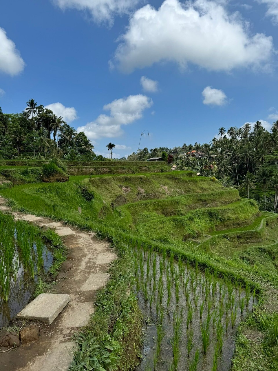 Indonesien - Gianyar - 