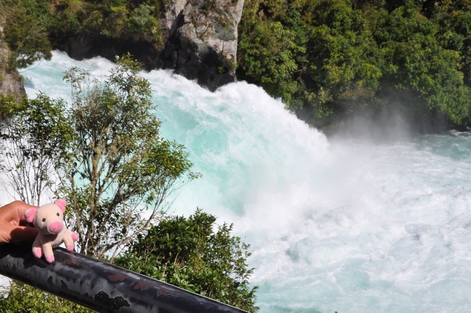 Neuseeland - Taupo - keine Spur von toten Tierkleidern ;-)