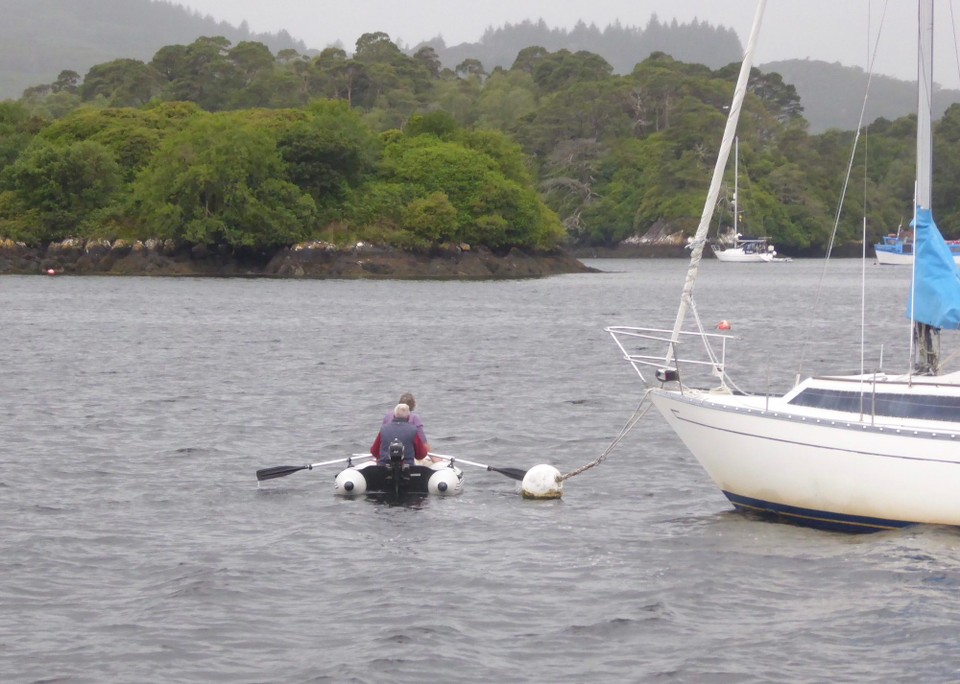 Ireland - Glengarriff - We thought all was lost, but it was decided that Kevin’s suggestion of using a landing net might work, as the pup was so young and didn’t yet have teeth.