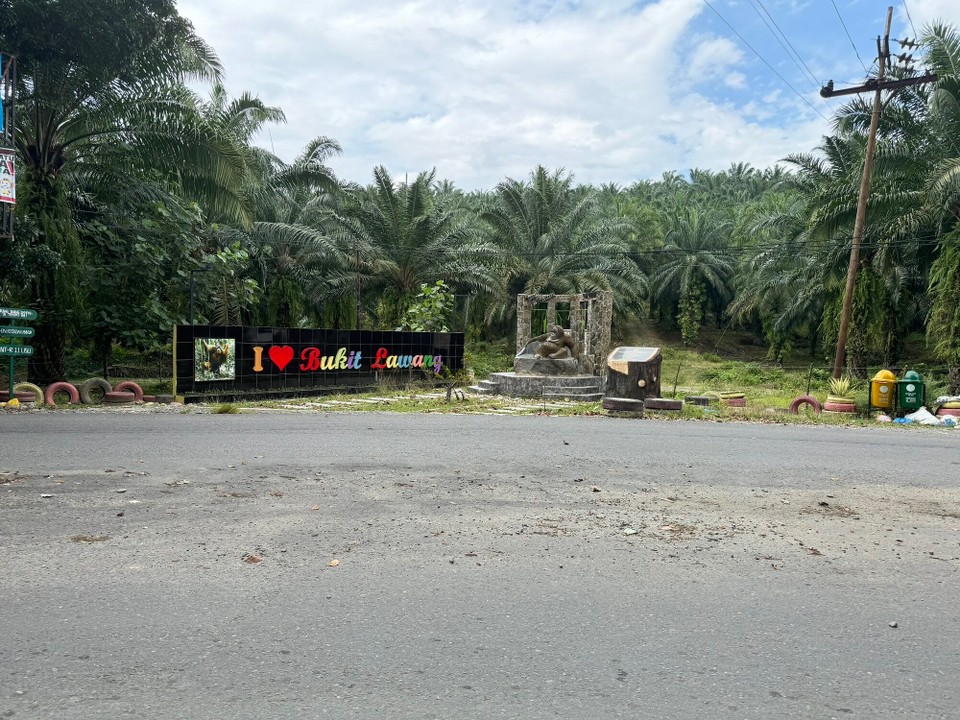 Indonesien - Kabupaten Langkat - 