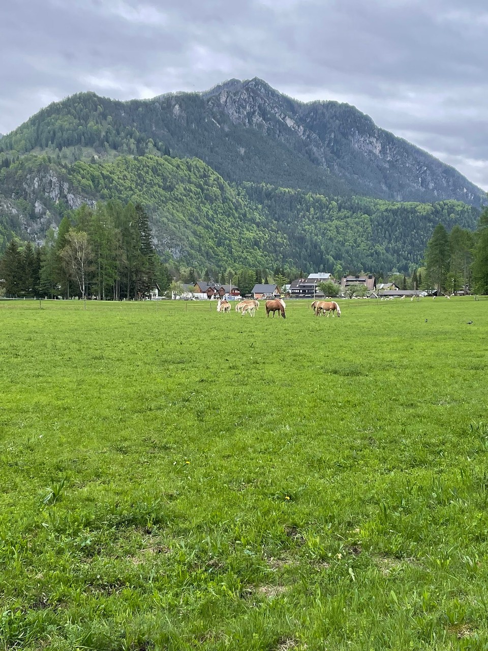 Slowenien - Rateče Planica - 