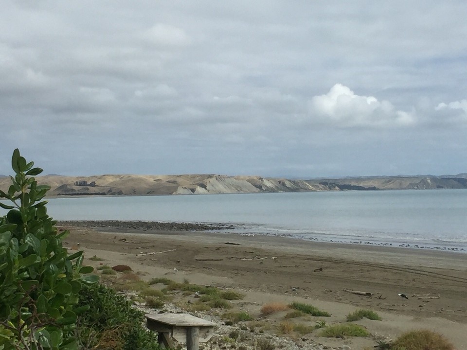 Neuseeland -  - Stellplatz an der Clifford Bay