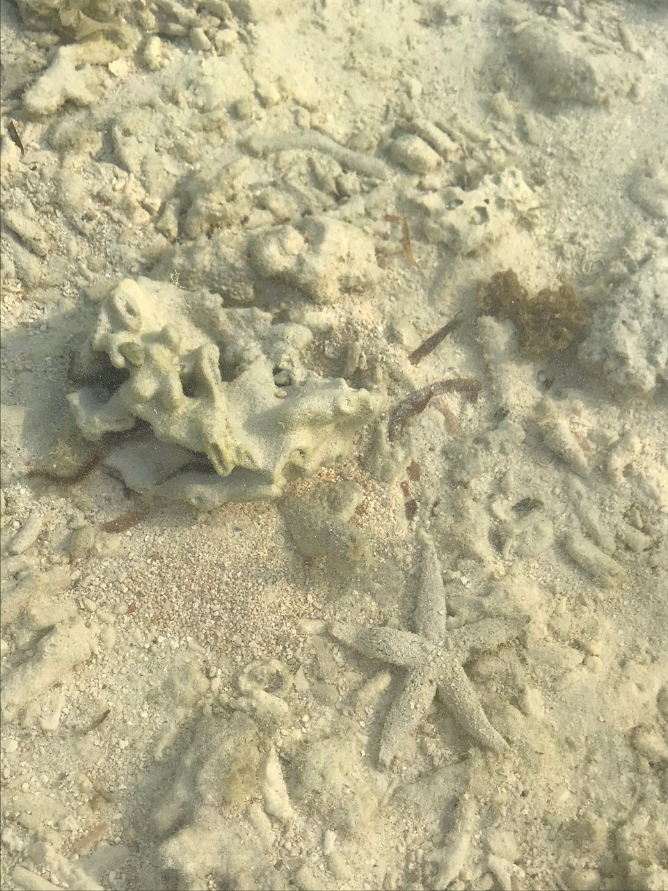 Indonesien - Lombok Utara - 