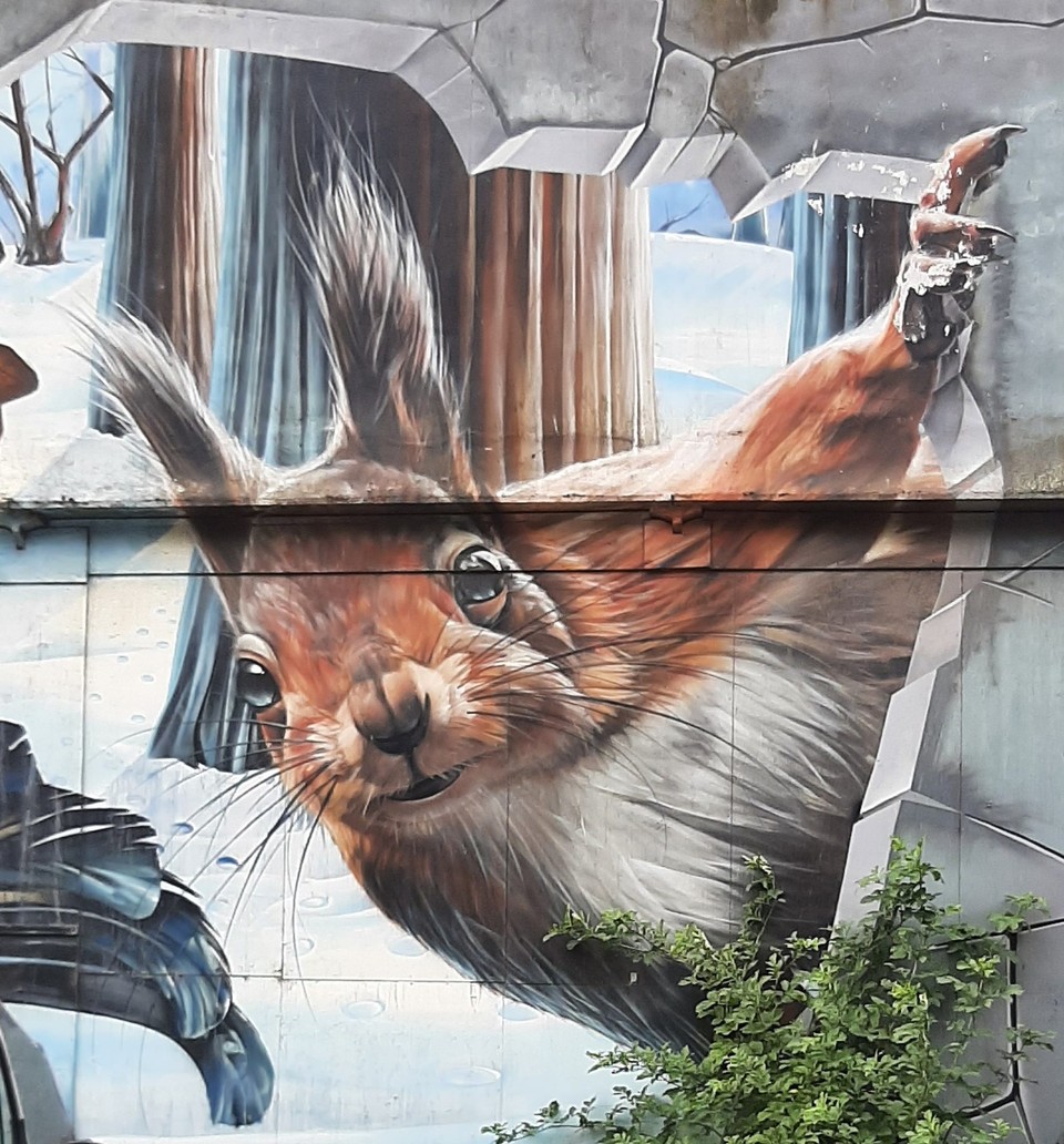 Vereinigtes Königreich - Glasgow - Graffiti Kunst