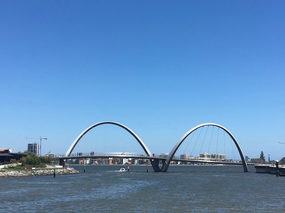Australien - South Perth - Was kommt denn da für ein Riesenvogel?