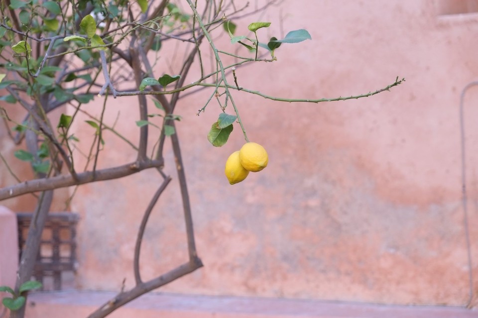 Marokko - Méchouar Kasba - 