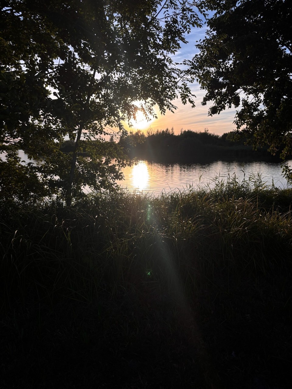 Niederlande - Giethoorn - Die Aussicht direkt aus dem Wohnmobil