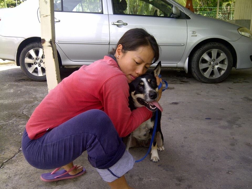 Malaysia - Kedawang - The very wonderful angel that is Dorothy Ang, making life for dog’s at Langkawi just that bit nicer