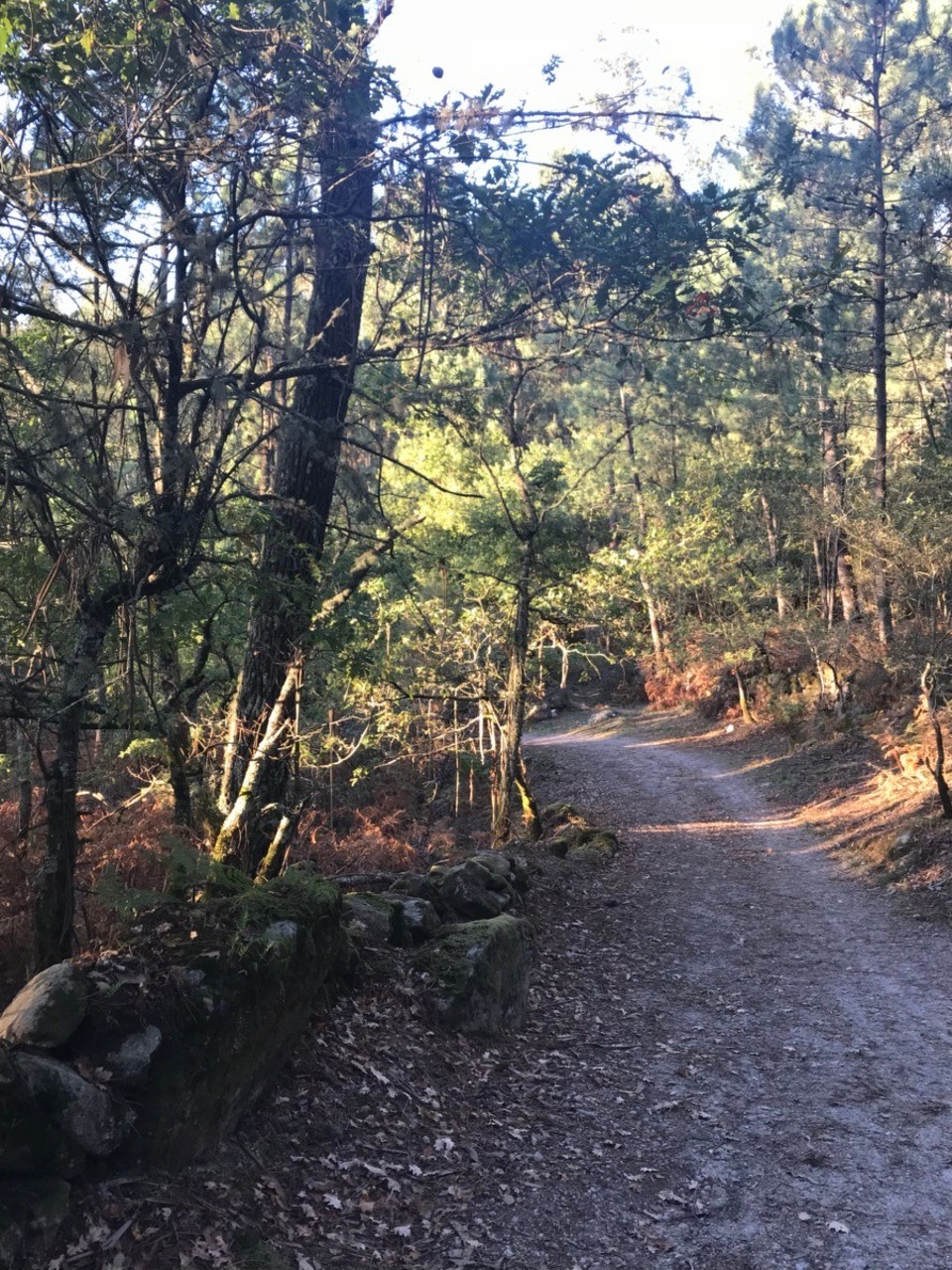 Spanien - Pontevedra - 