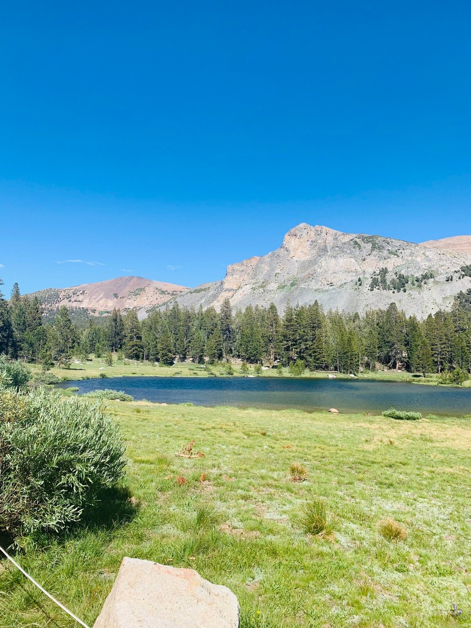 Vereinigte Staaten - Yosemite National Park - Auf der Weiterfahrt Richtung Yosemite wurde die Landschaft wieder grüner und war wunderschön. Eigentlich müssten wir hier auch einen Stopp einlegen, aber alles geht eben nicht. 