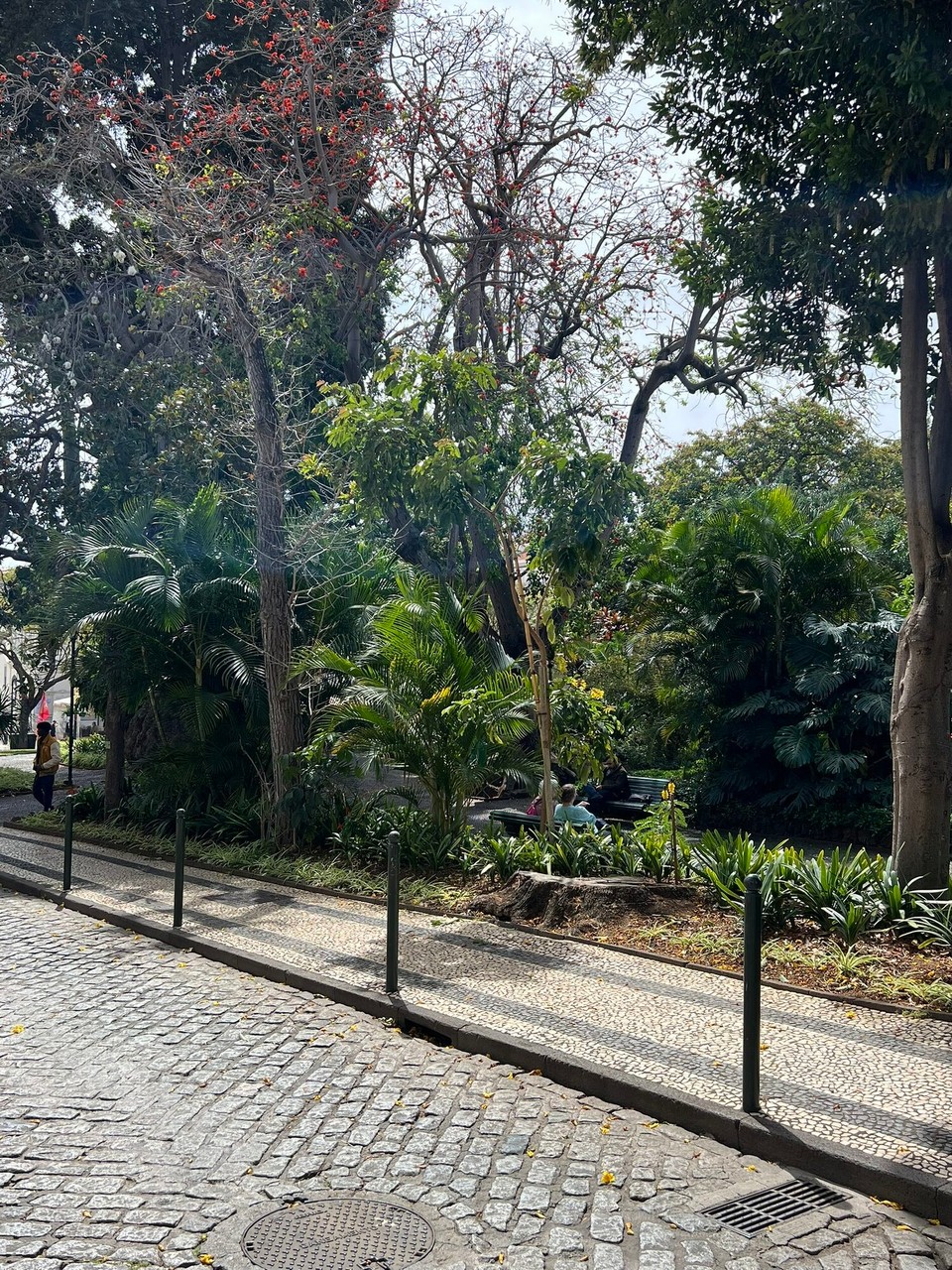 Portugal - Funchal - 