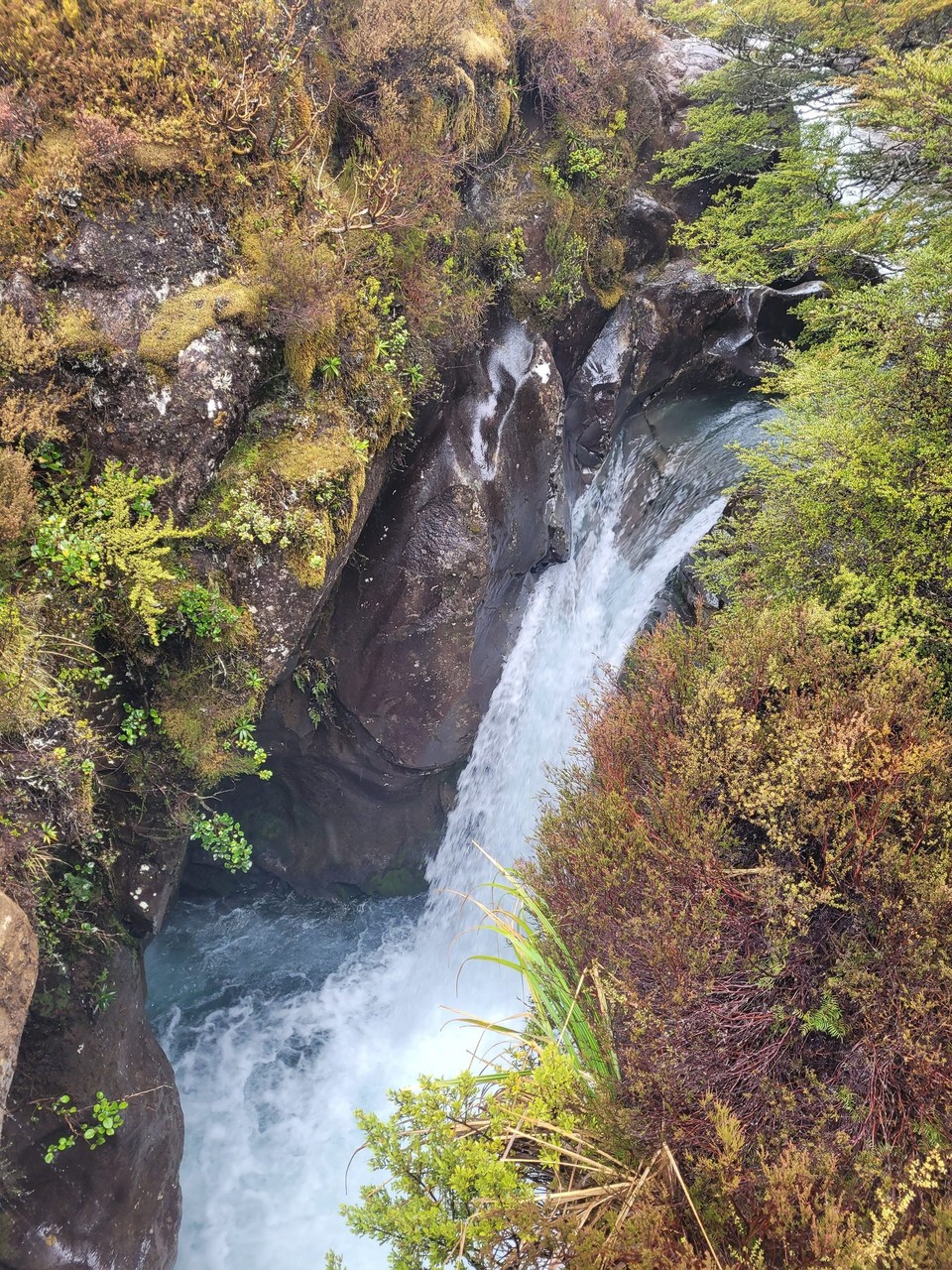 Neuseeland - Tongariro-Nationalpark - 