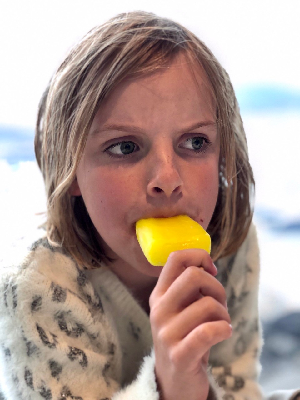 Island - Skútustaðahreppur - En Guete!