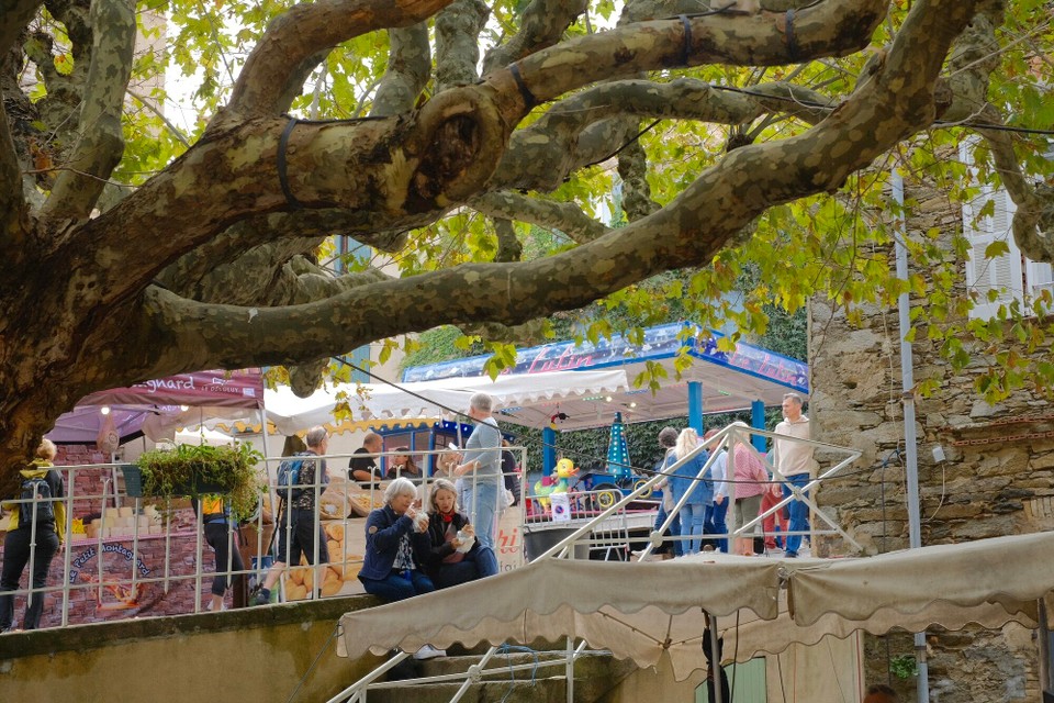 Frankreich - La Garde-Freinet - 