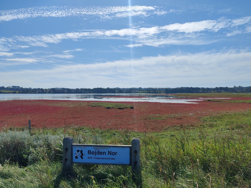 Dänemark - Bøjden - 