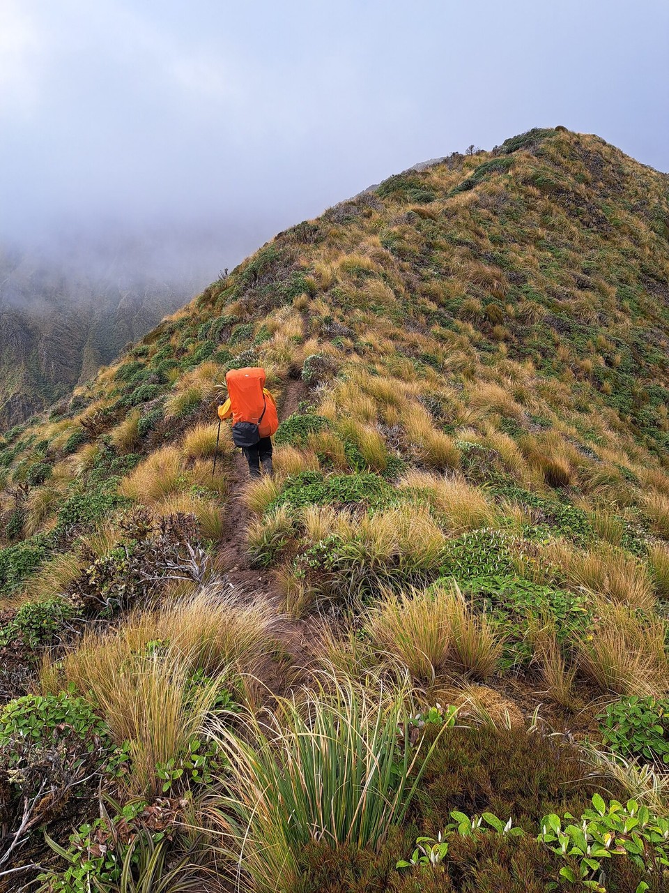 Neuseeland - Parawai Lodge - 