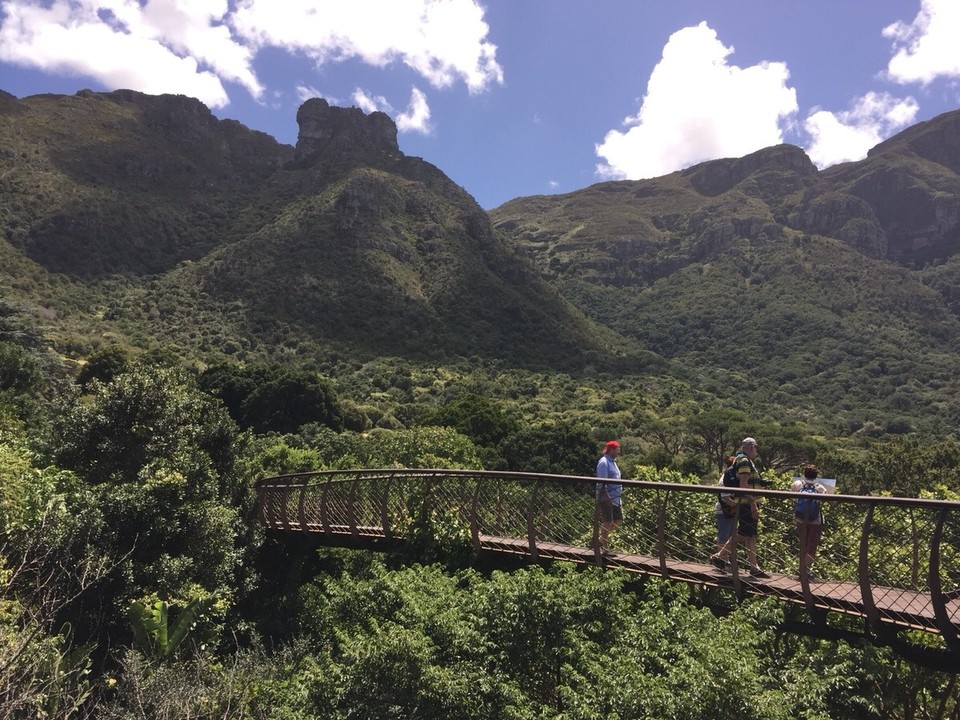 Südafrika - Cape Town - Hochwertige über die Baumgipfel Kirstenbosch