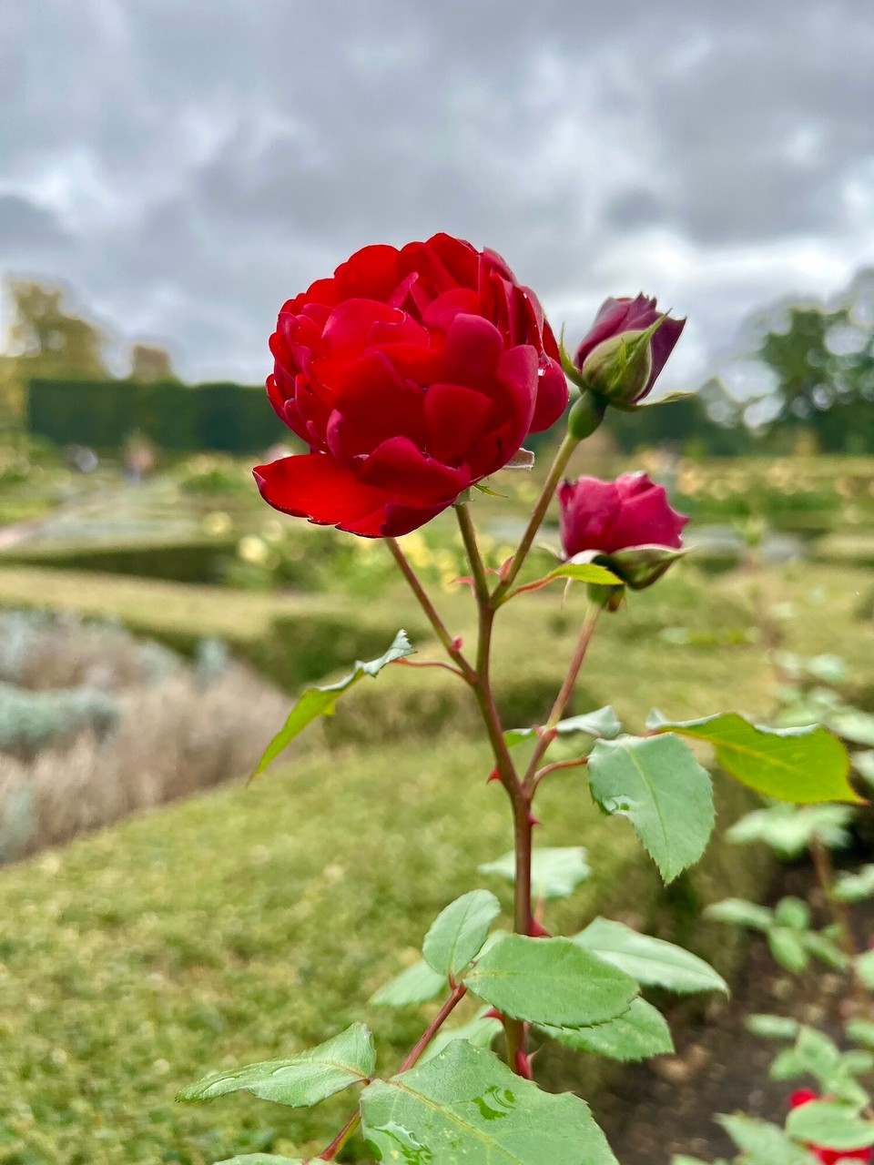 Dänemark - København K - 