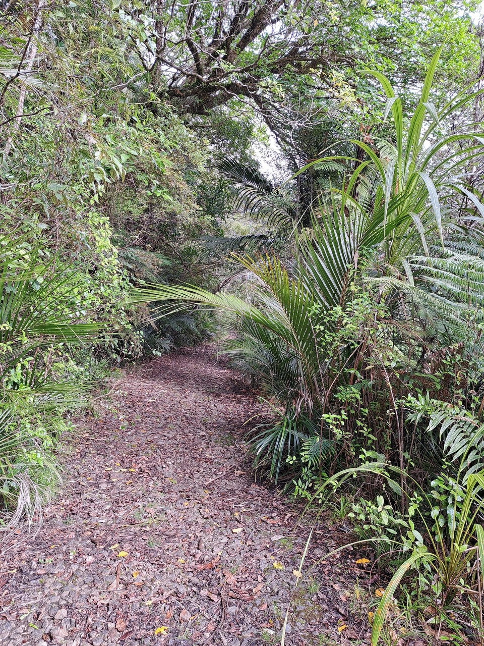 Neuseeland - Kumetewhiwhia - 
