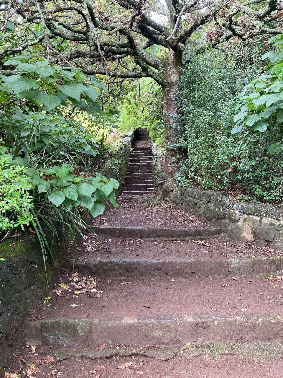 Neuseeland - Auckland - Hinauf hinauf